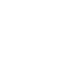 Country Music Tours